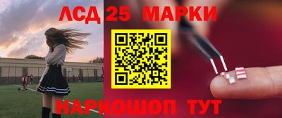 индика Ливны
